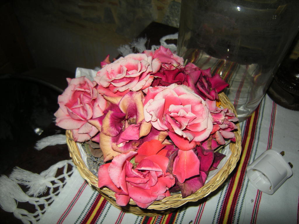 Sykopetra Lasmari'S Bouquet חדר תמונה