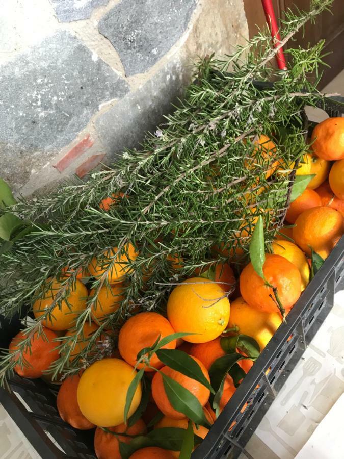 Sykopetra Lasmari'S Bouquet מראה חיצוני תמונה